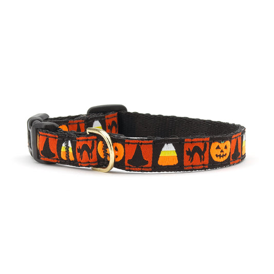 Halloween Small Breed Dog Collar