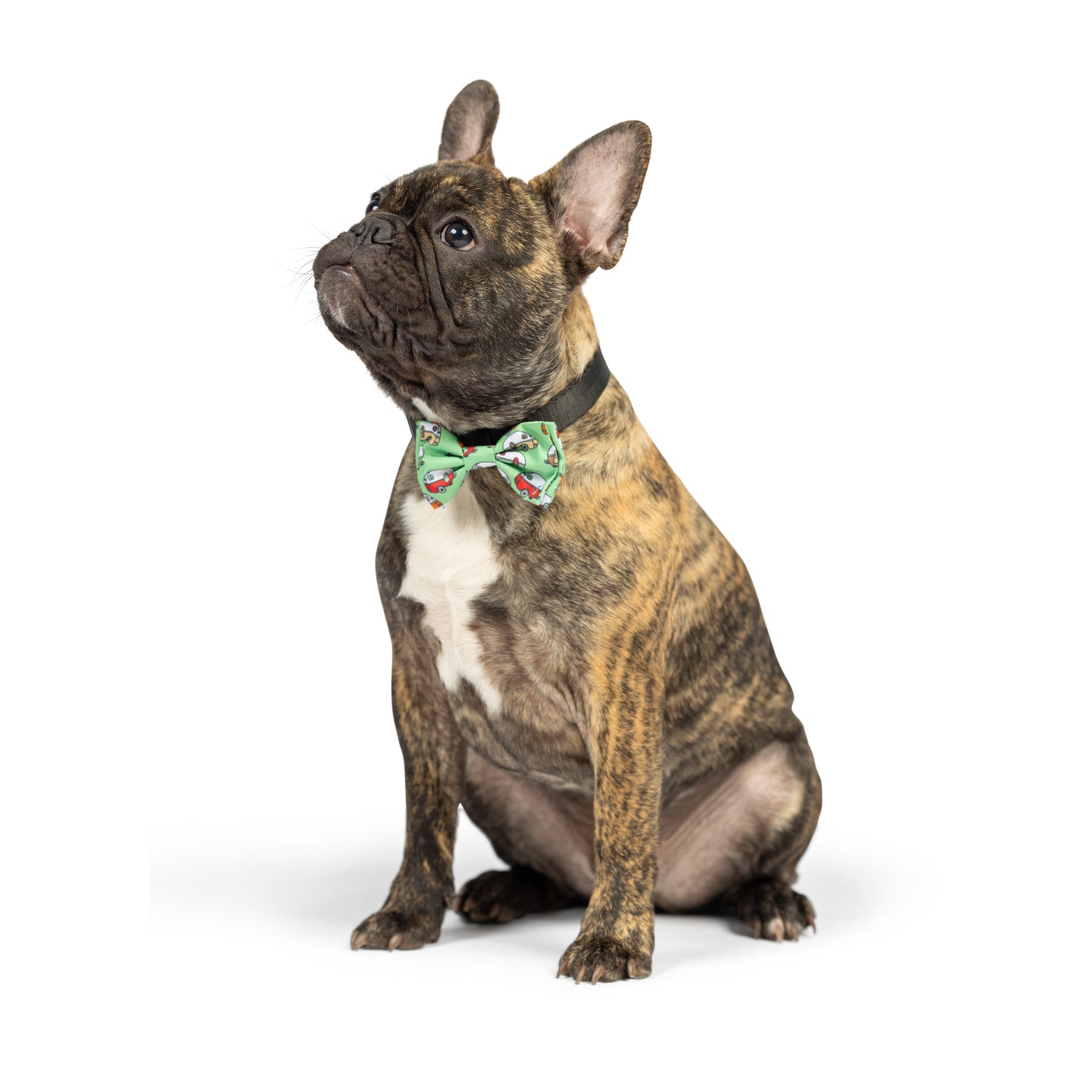 Happy Camper Bow Tie - 30% Off