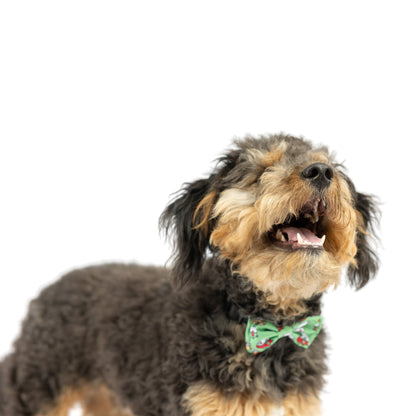 Happy Camper Bow Tie - 30% Off