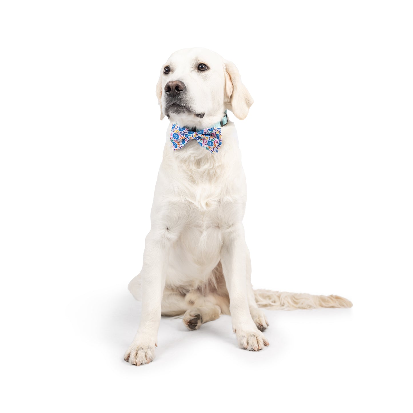 Happy Got Me Day Bow Tie