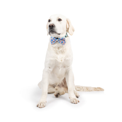Happy Got Me Day Bow Tie