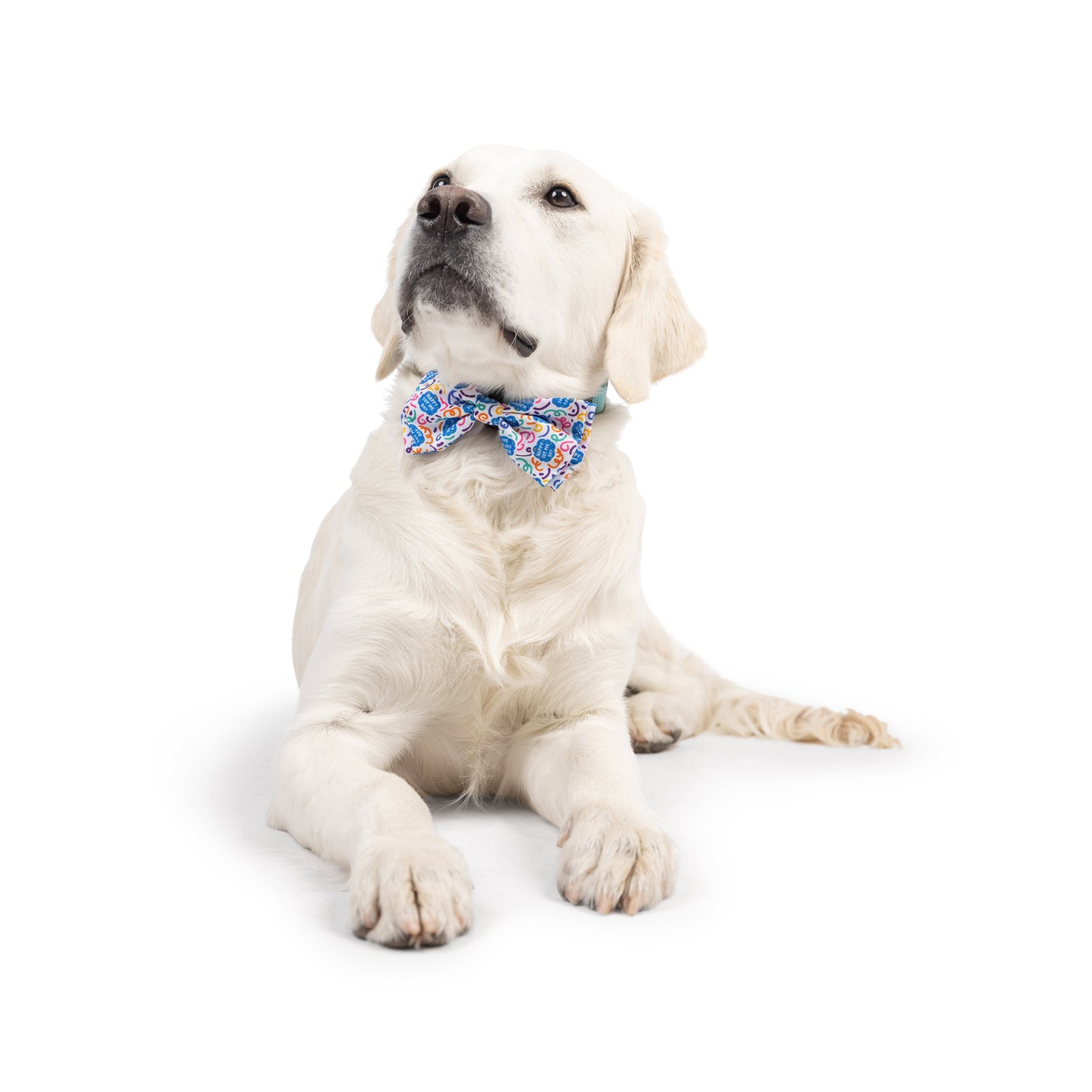 Happy Got Me Day Bow Tie
