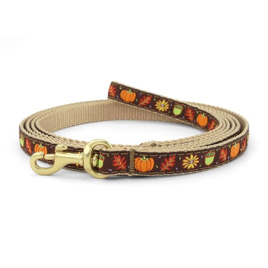 Harvest Time Small Breed Dog Lead