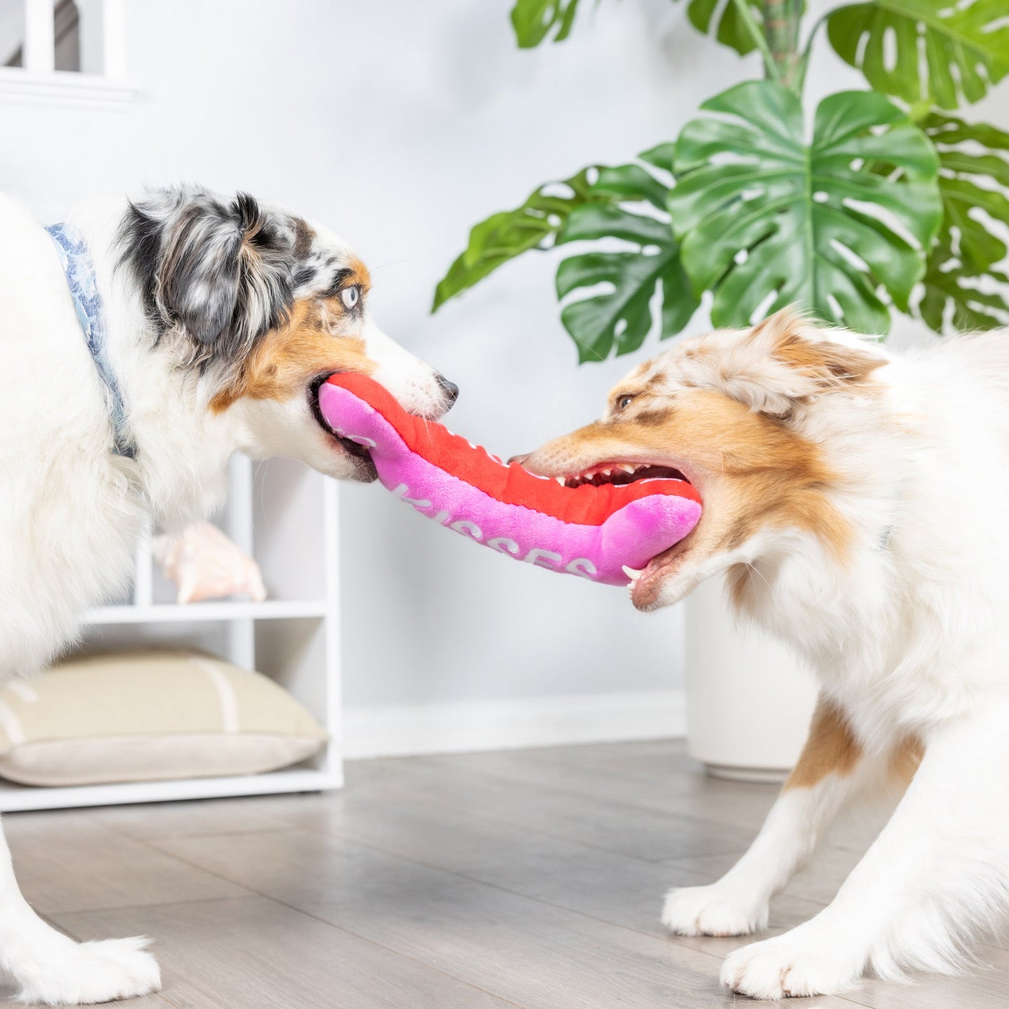 Hugs & Kisses Bone 2.0 Dog Toy (Double Sided) - 30% Off