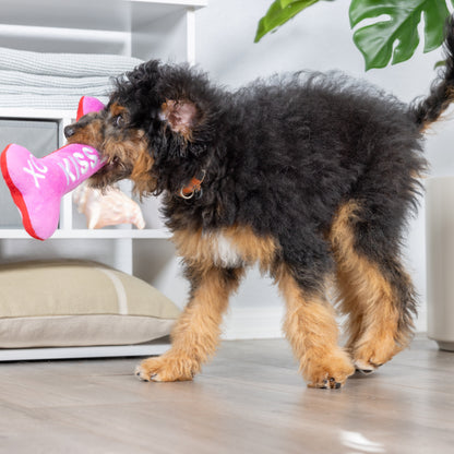 Hugs & Kisses Bone 2.0 Dog Toy (Double Sided) - 30% Off