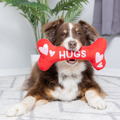 Hugs & Kisses Bone 2.0 Dog Toy (Double Sided) - 30% Off