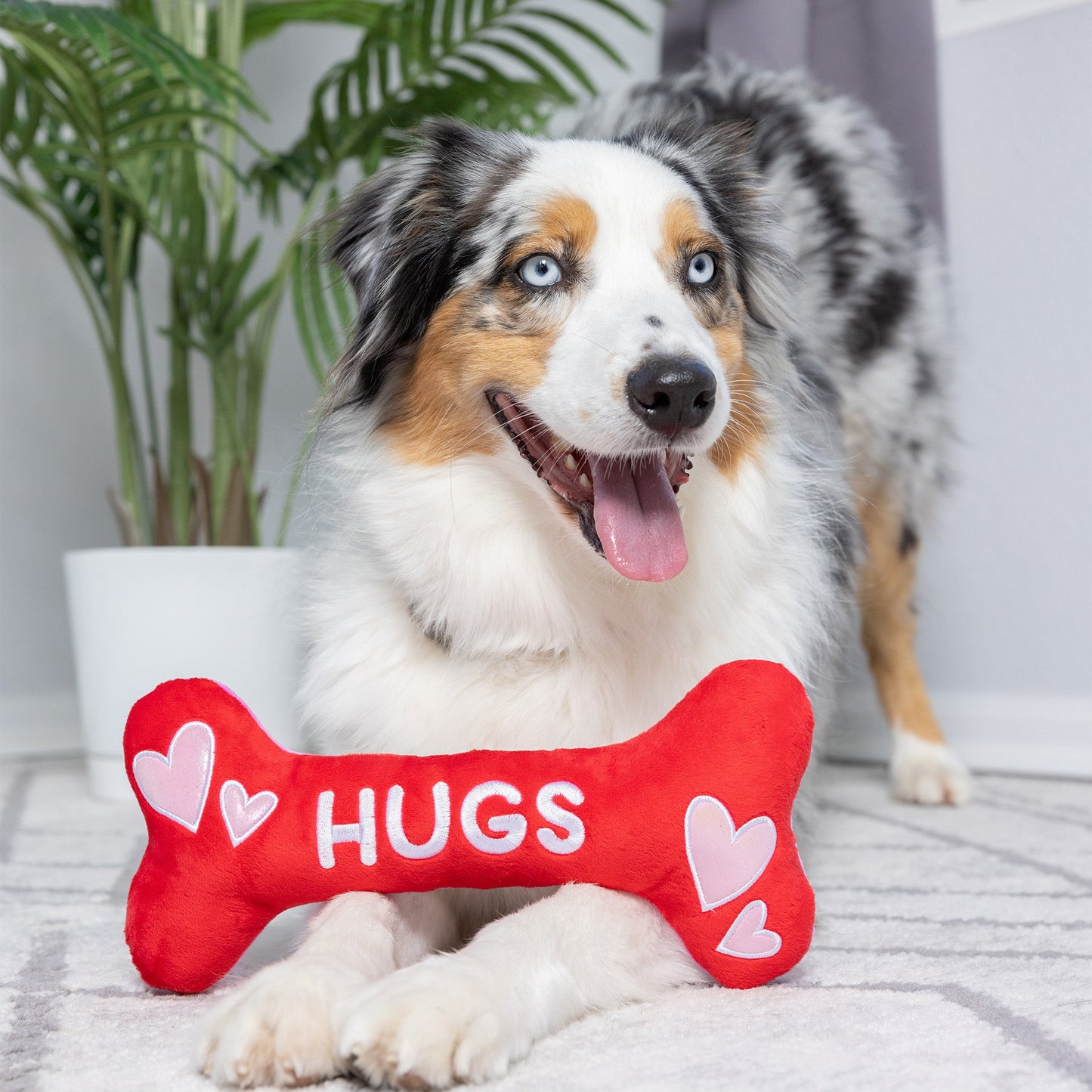 Hugs & Kisses Bone 2.0 Dog Toy (Double Sided) - 30% Off