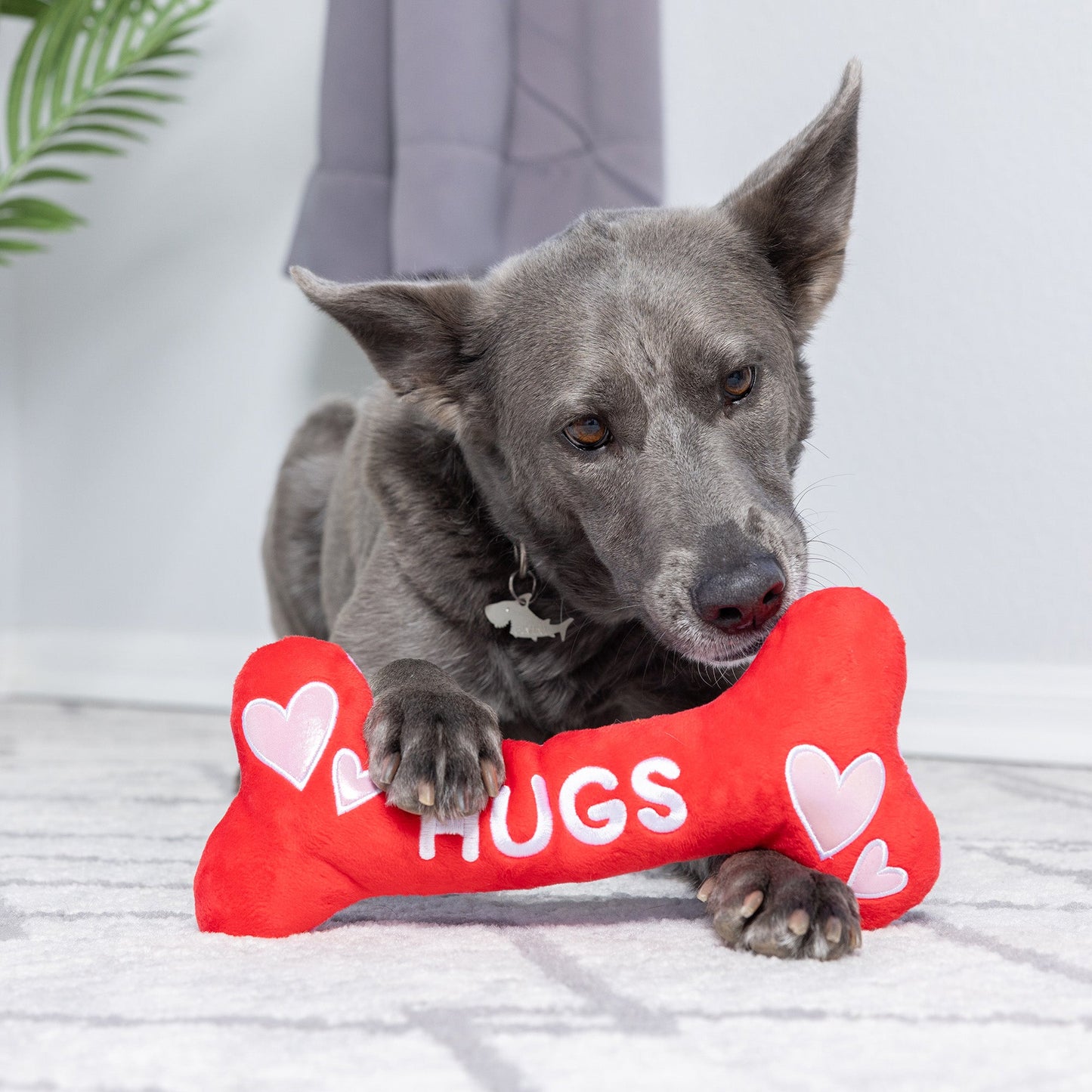 Hugs & Kisses Bone 2.0 Dog Toy (Double Sided) - 30% Off