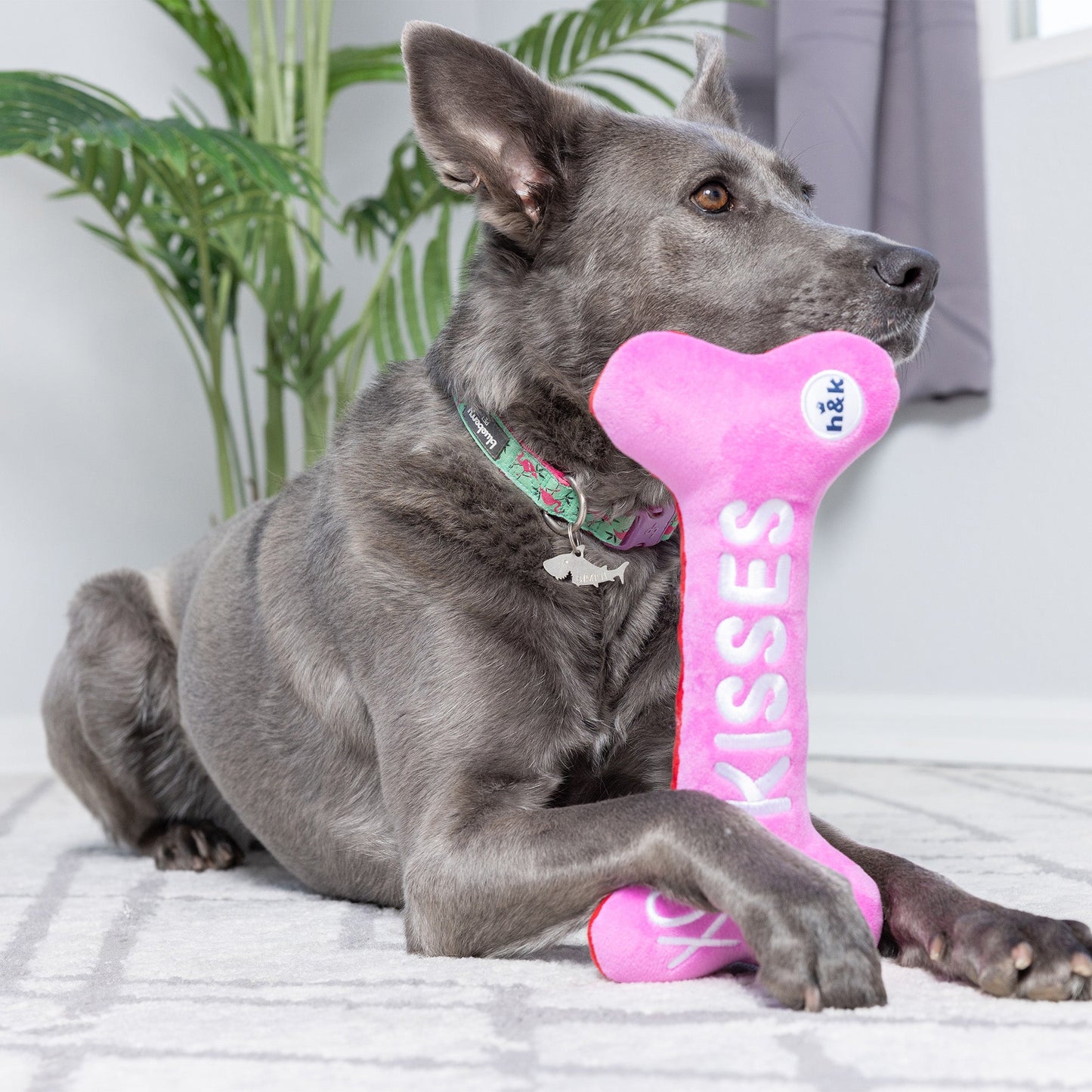 Hugs & Kisses Bone 2.0 Dog Toy (Double Sided) - 30% Off