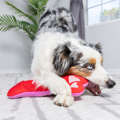 Hugs & Kisses Bone 2.0 Dog Toy (Double Sided) - 30% Off