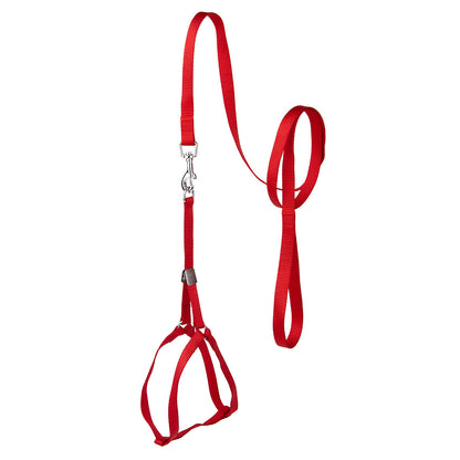 Step-In Nylon Dog Harness + Optional Flower Leash