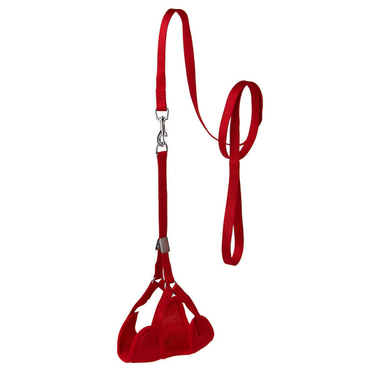 DOGLINE red mesh step-in nylon dog harness with matching leash