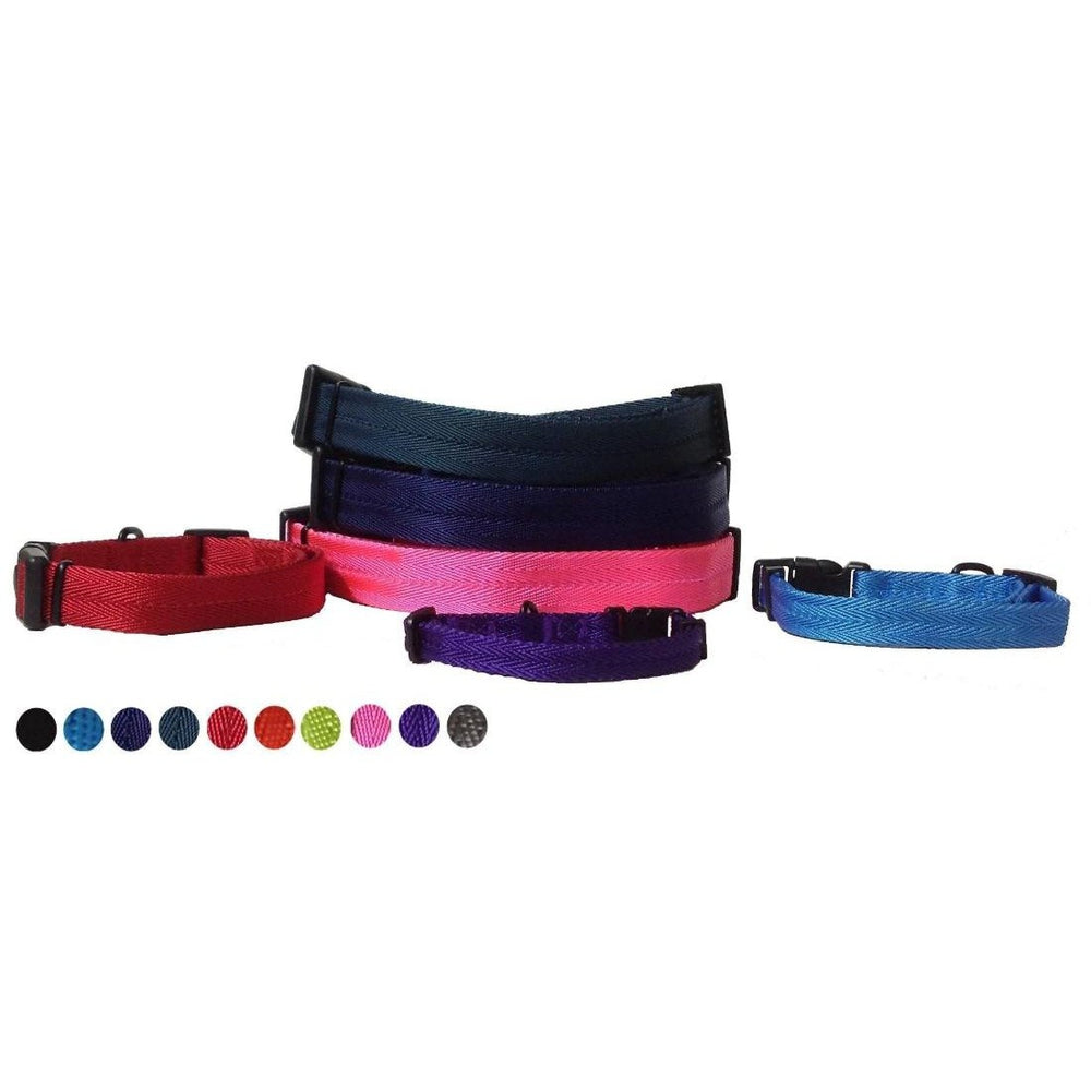 Nylon Flat Dog Collar
