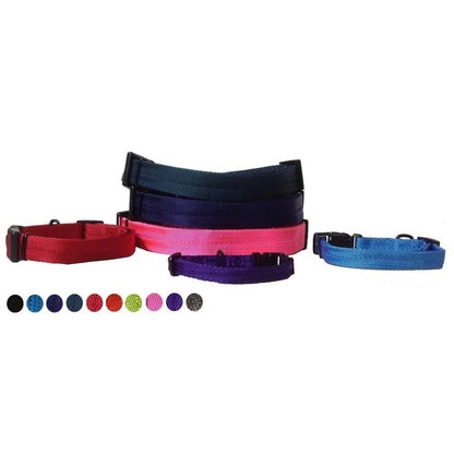 Nylon Flat Dog Collar