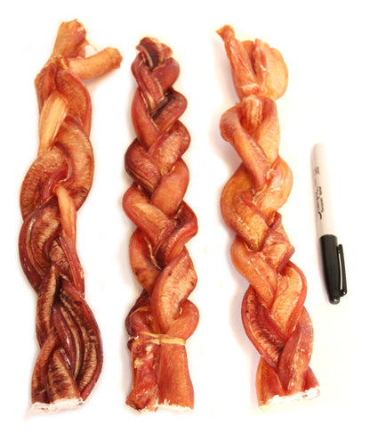 12" Jumbo Braided Bully Stick - Odor Free (Bulk) - Pack of 25