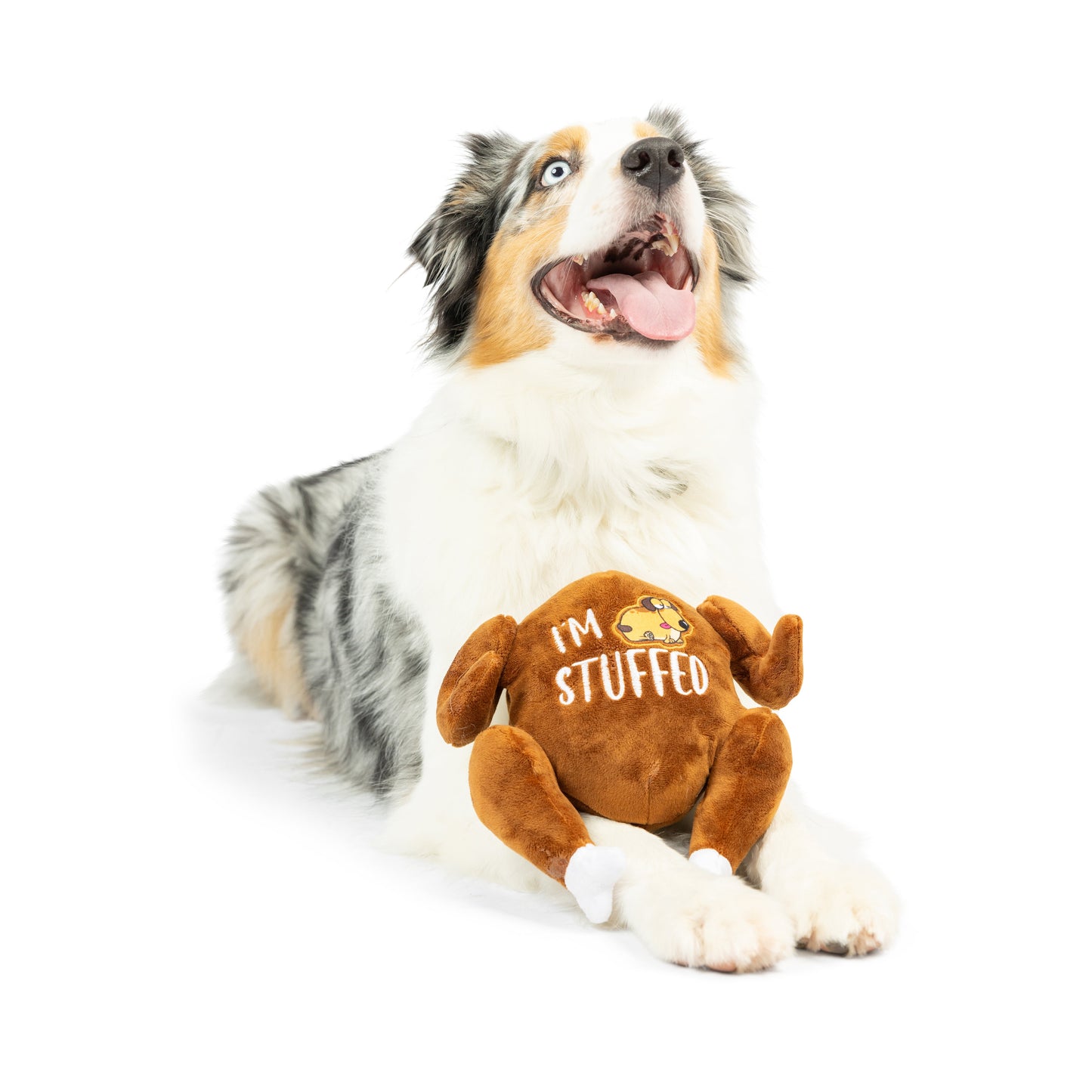 I'm Stuffed Turkey Dog Toy