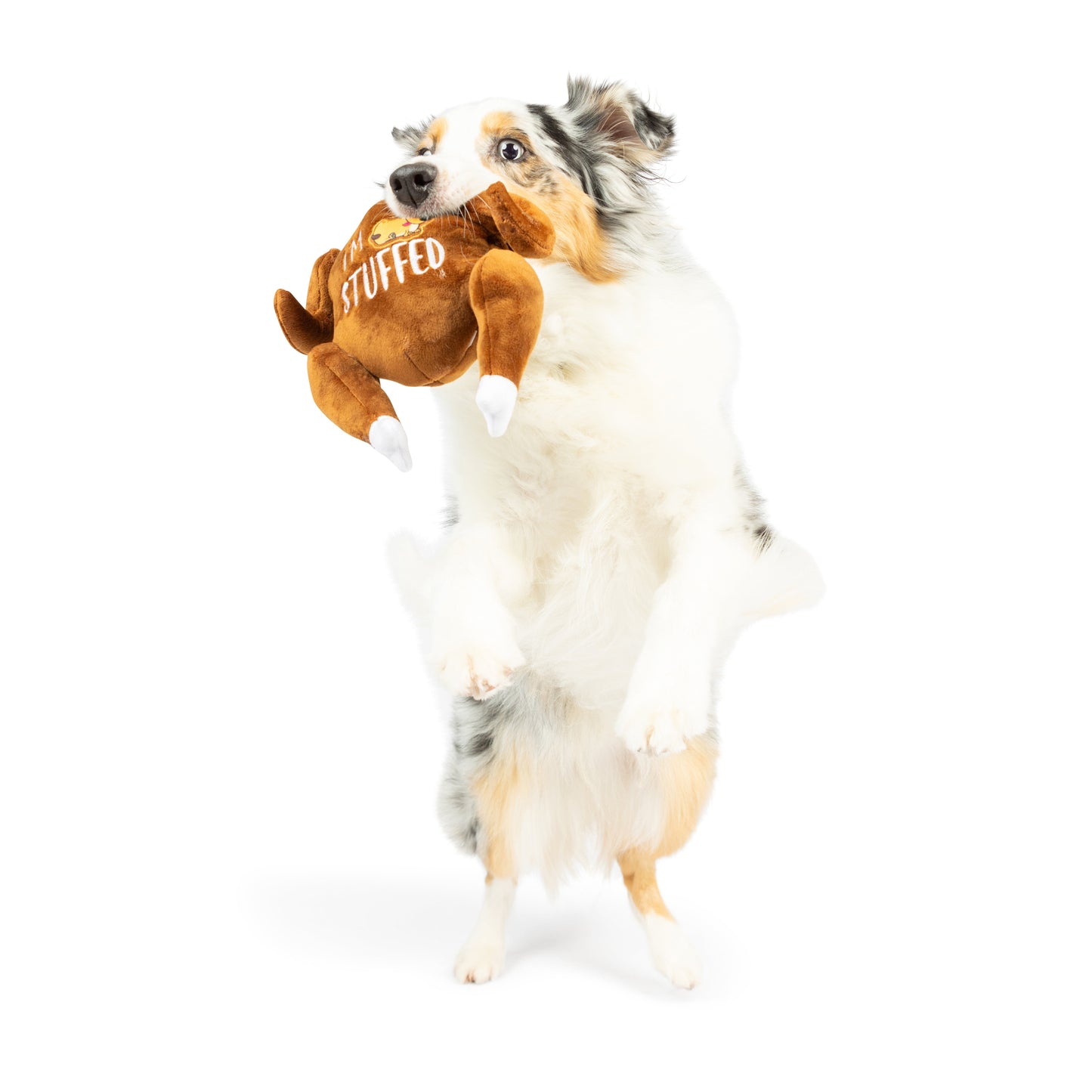 I'm Stuffed Turkey Dog Toy