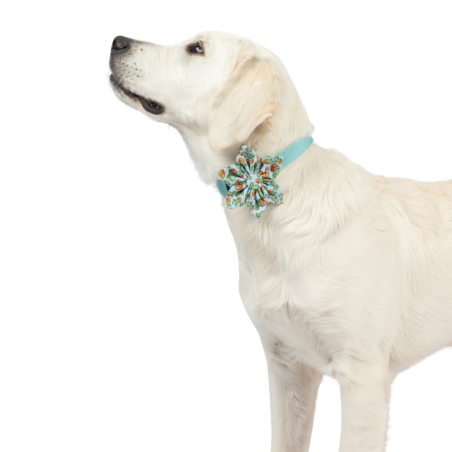 I'm Prickly Cactus Pinwheel