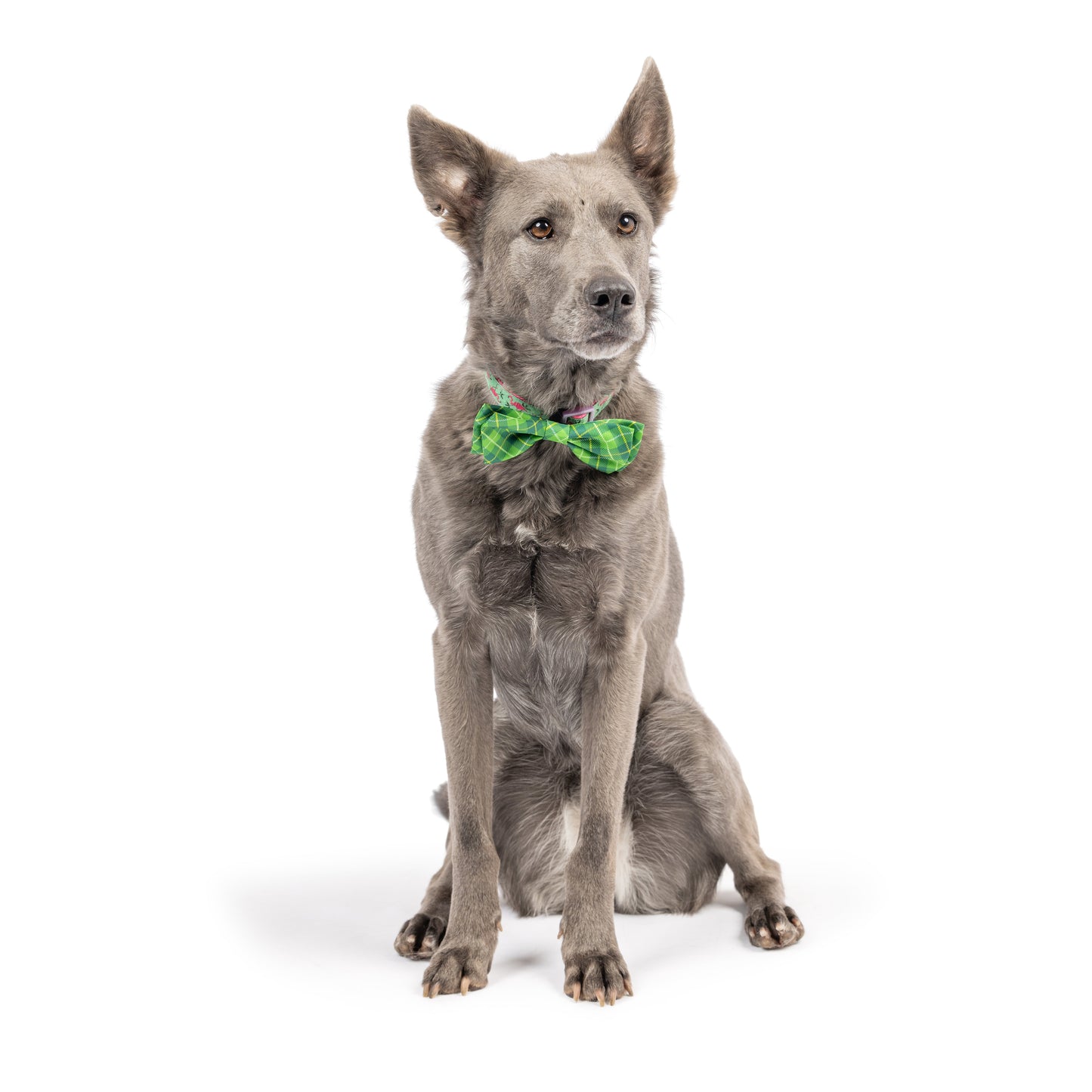 Irish Plaid Bow Tie