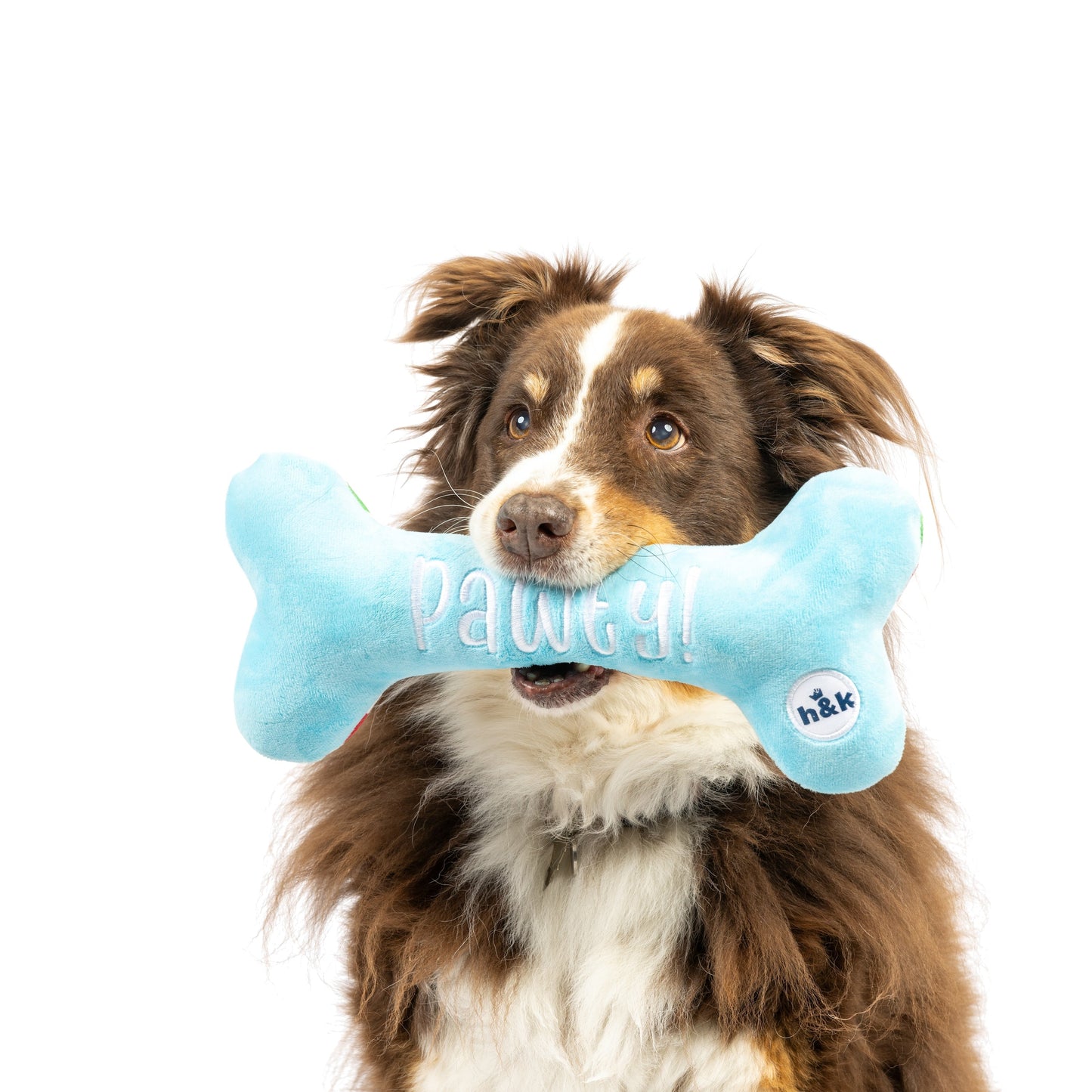 It's My Barkday Bone Dog Toy (Double Sided)