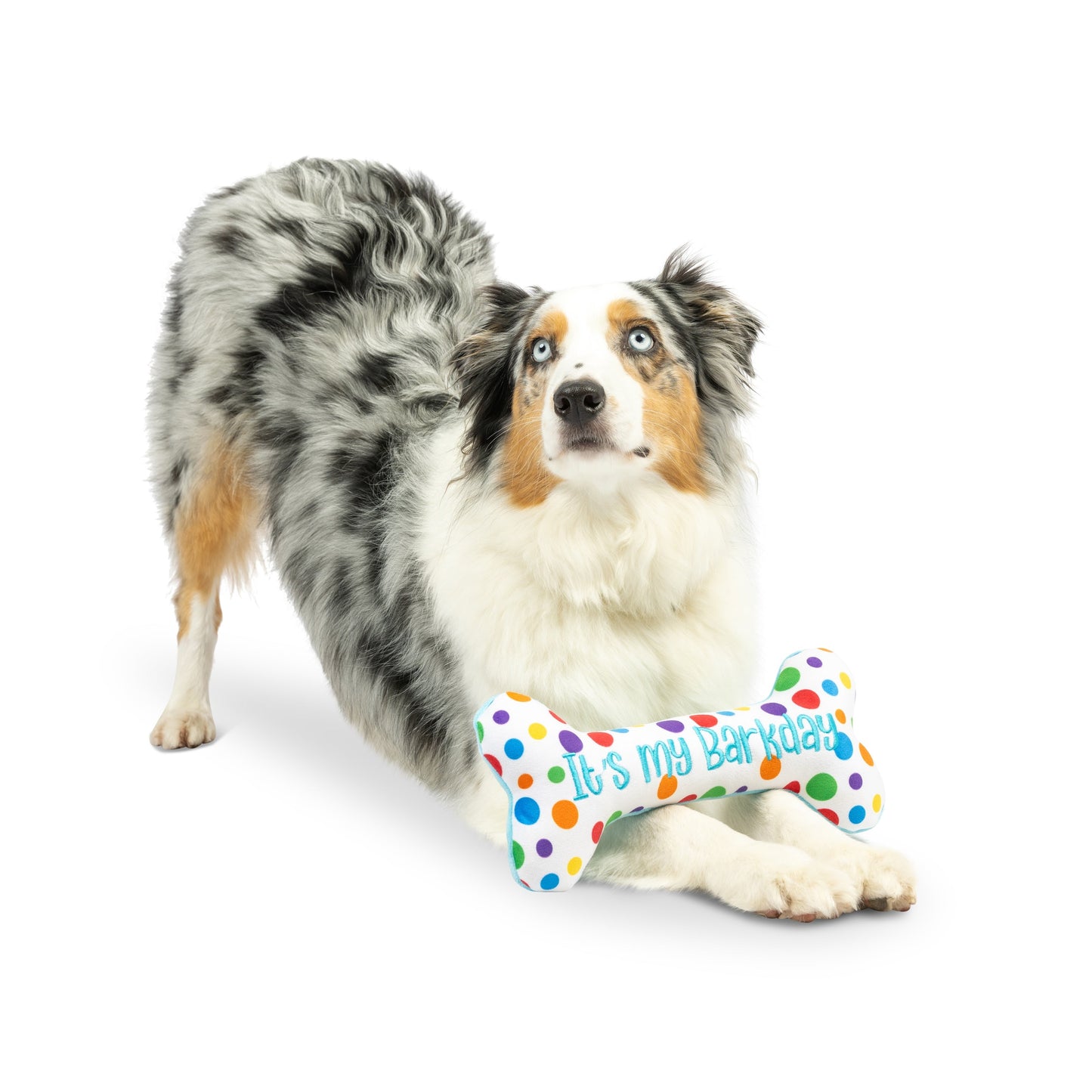 It's My Barkday Bone Dog Toy (Double Sided)