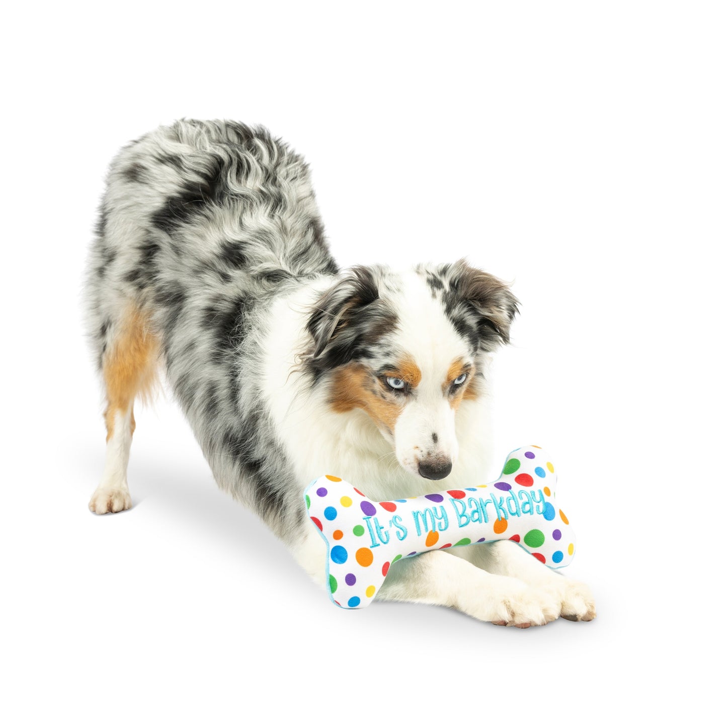 It's My Barkday Bone Dog Toy (Double Sided)