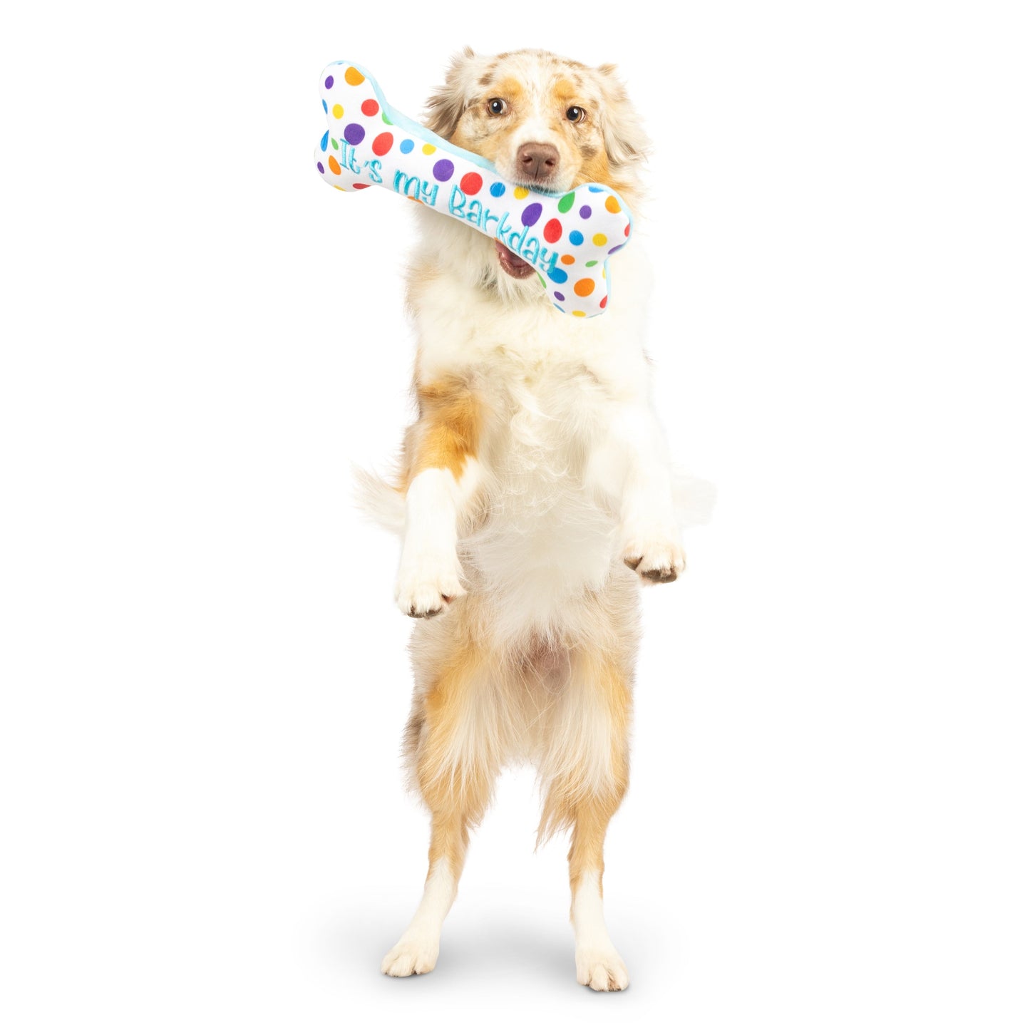 It's My Barkday Bone Dog Toy (Double Sided)