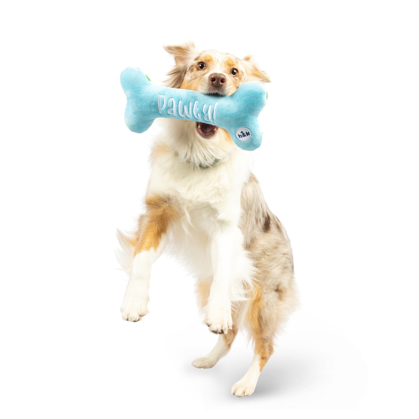 It's My Barkday Bone Dog Toy (Double Sided)