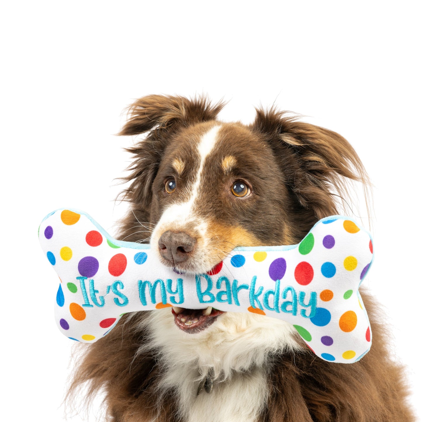 It's My Barkday Bone Dog Toy (Double Sided)