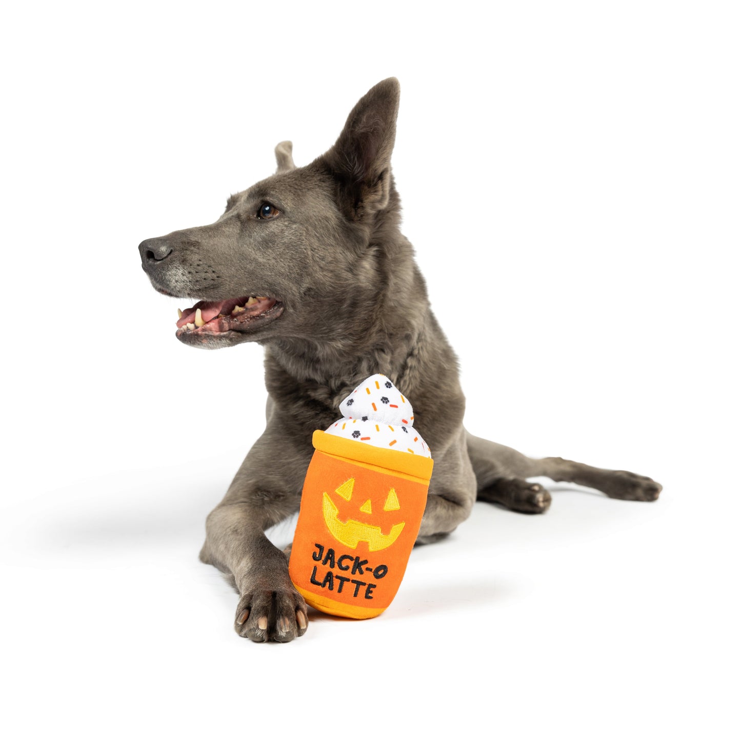 Jack-O-Latte Dog Toy (Double Sided)