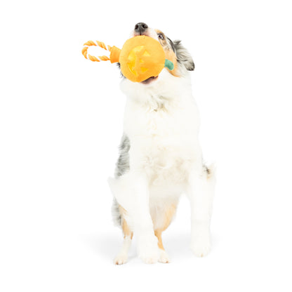 Jack O Lantern Safety Pop Dog Toy
