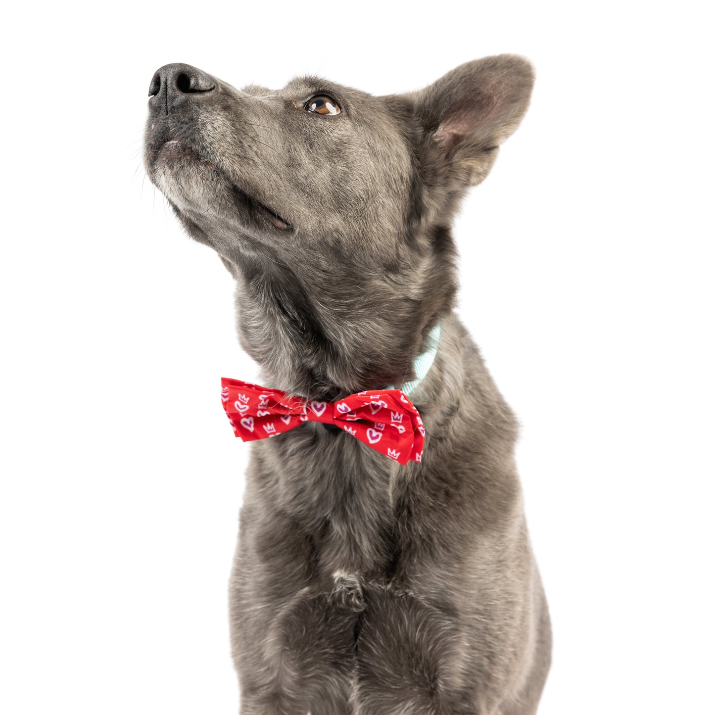 King & Queen of Hearts Bow Tie