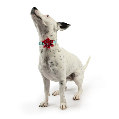 King & Queen of Hearts Pinwheel