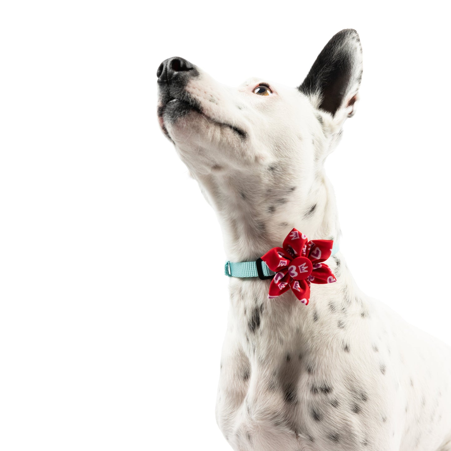 King & Queen of Hearts Pinwheel