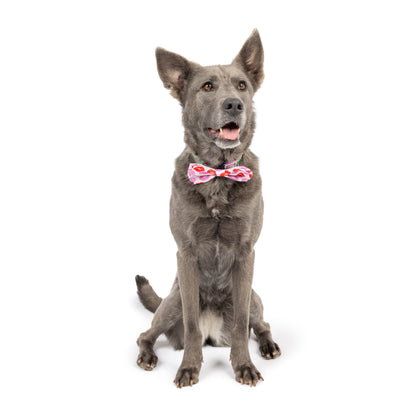 Kiss Kiss Bow Tie