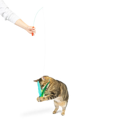 Kitty Klaw Lime Teasers 2pk Cat Wand Refill