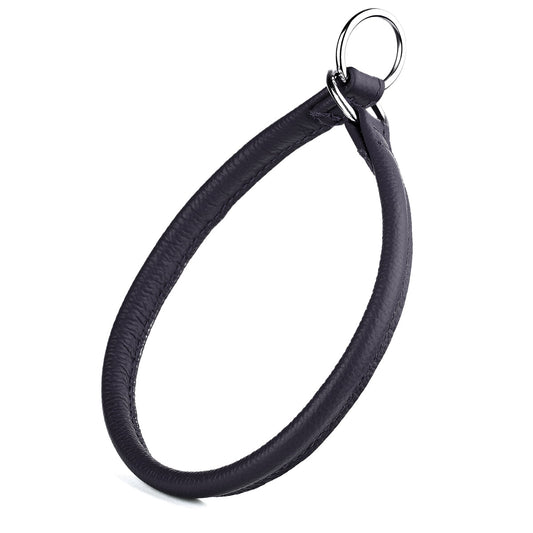 Black leather dog collar with a silver ring
