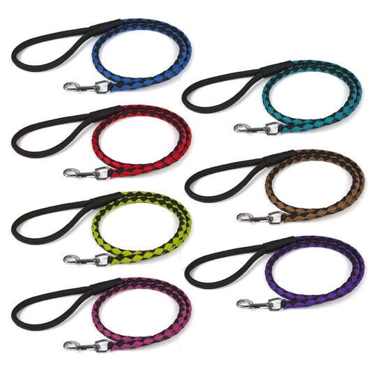 Soft Leather Dual-Color Braided Round Dog Lead
