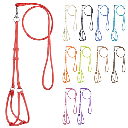 Soft Leather Round Step-In Harness + Round Lead