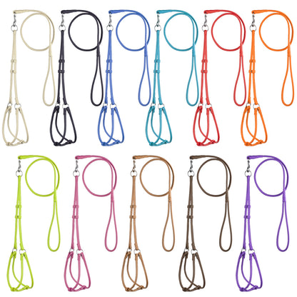 Soft Leather Round Step-In Harness + Round Lead