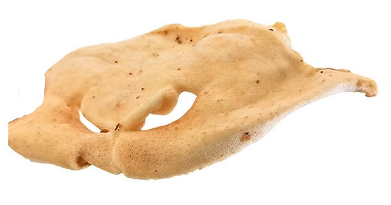 LAMB SNOUTS- PACK OF 10