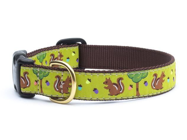 Nuts Dog Collar