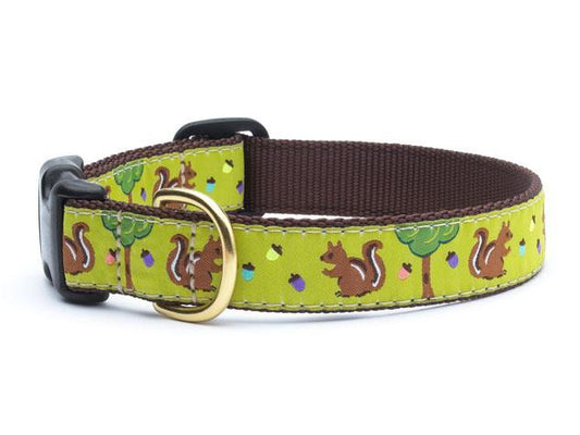Nuts Dog Collar