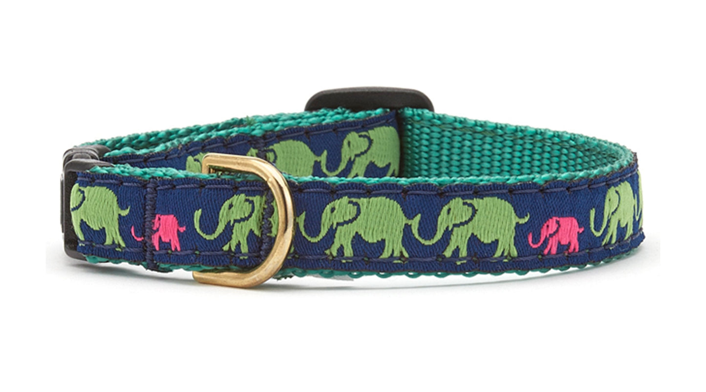 Leader of the Pach Small Breed Dog Collar