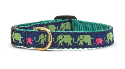 Leader of the Pach Small Breed Dog Collar
