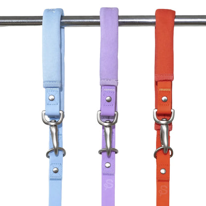 Small & Regular Leash (Case of 4)