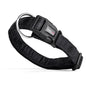 Comfort Microfiber Flat Dog Collar