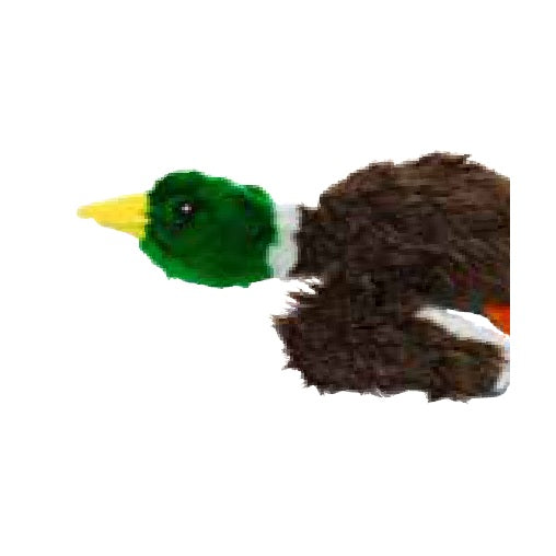 Mighty Jr Nature 2