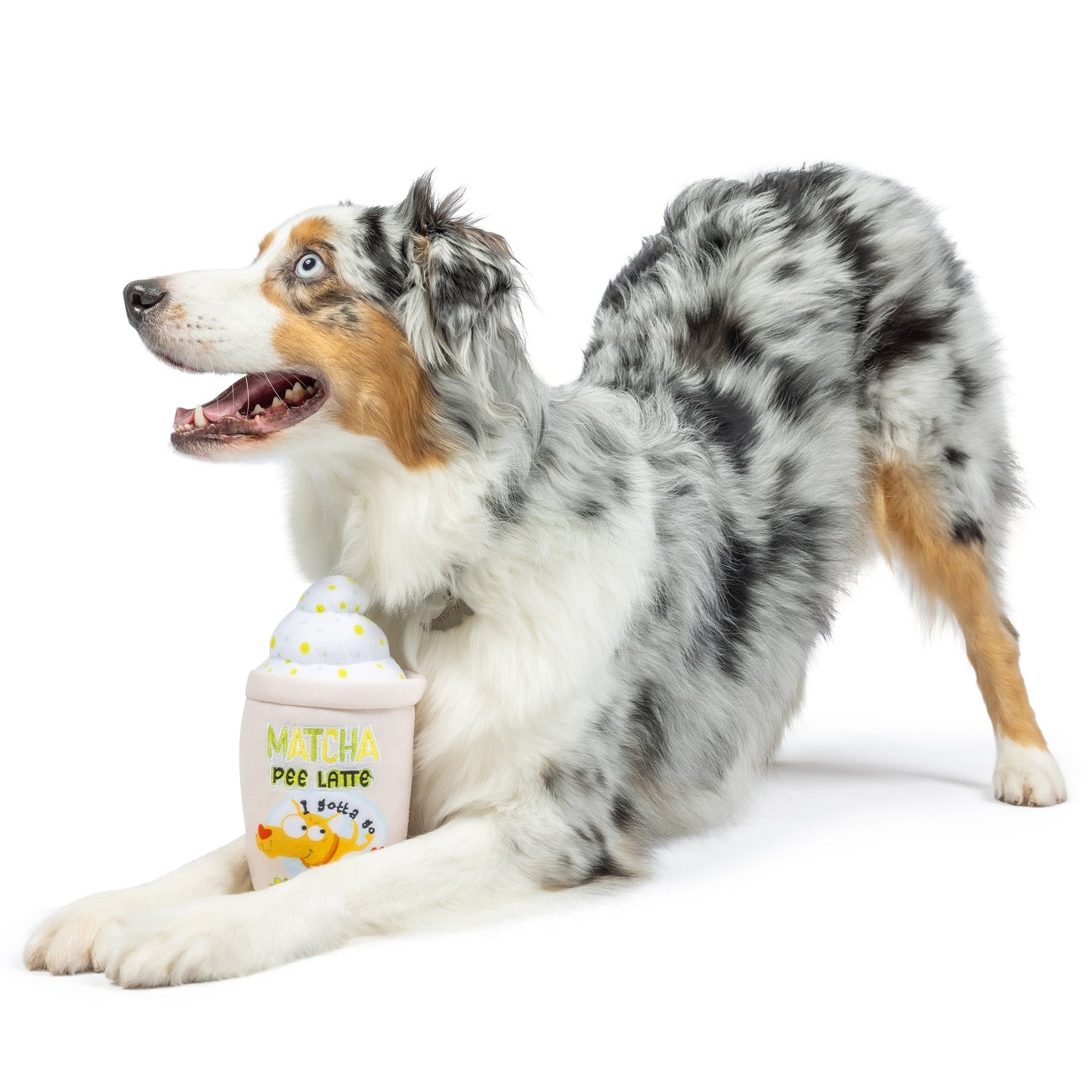 Matcha Pee Latte Dog Toy (Double Sided) - 30% Off