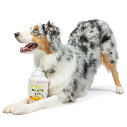 Matcha Pee Latte Dog Toy (Double Sided) - 30% Off
